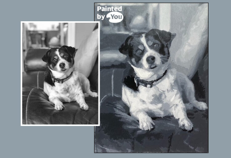 Transforming Love for Your Pet into Custom Art is the Next Step in Paint by Numbers